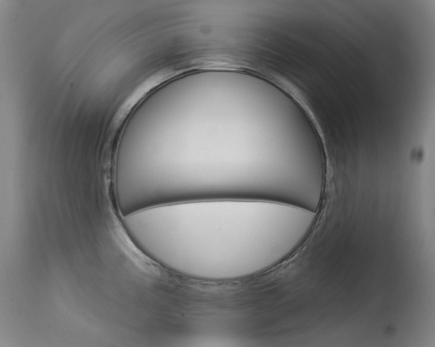 X0000114131195200910080955