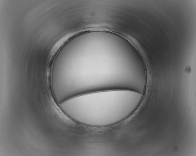 X0000114131196200910080955