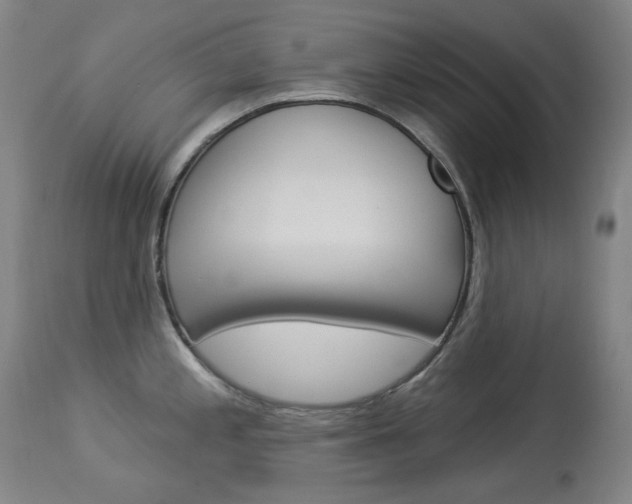X0000114131197200910080955