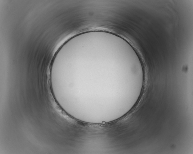 X0000114131198200910080954