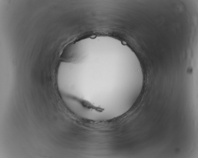 X0000114131201200910080954