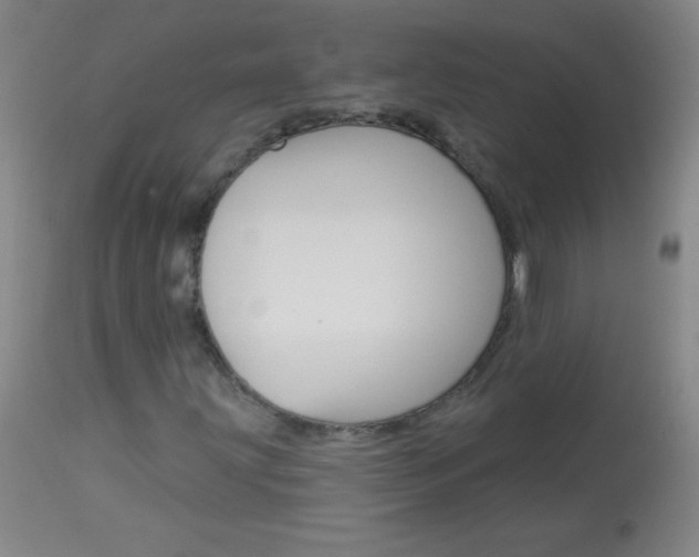 X0000114131203200910080954