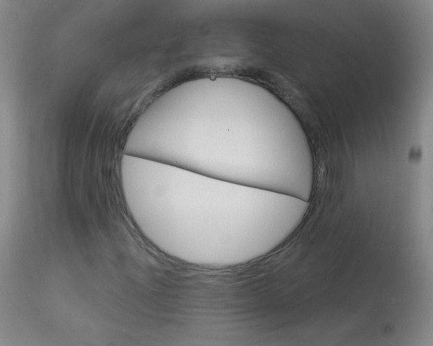 X0000114131204200910080954