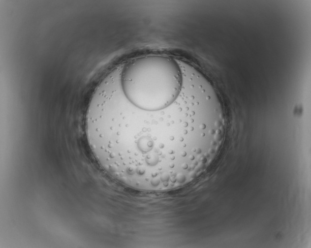 X0000114131205200910080954