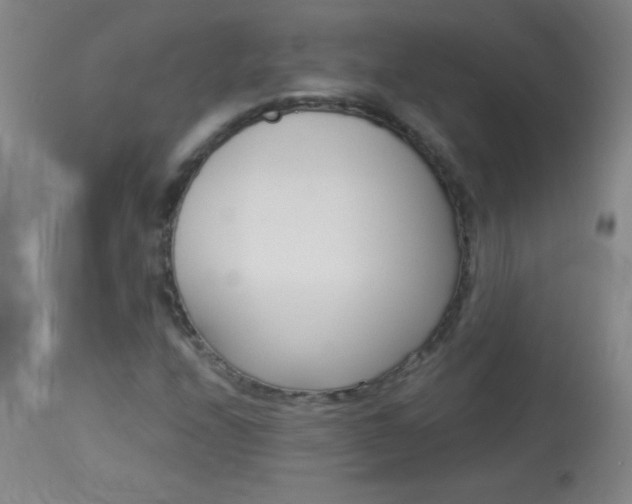 X0000114131208200910080954