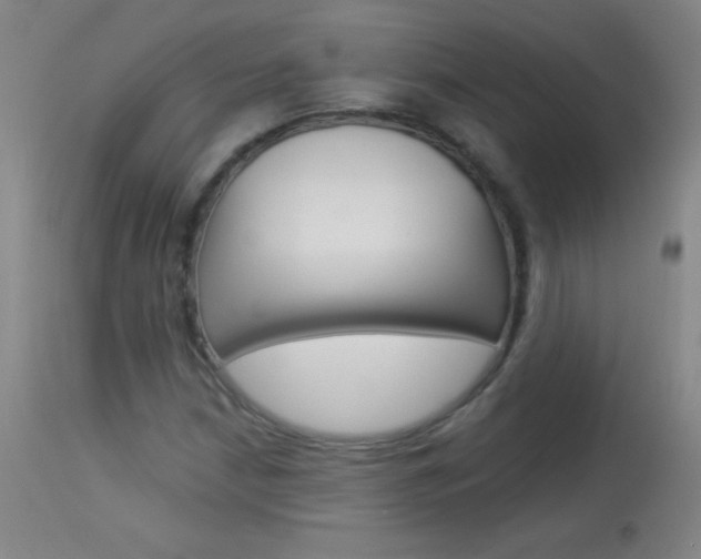 X0000114131210200910080954