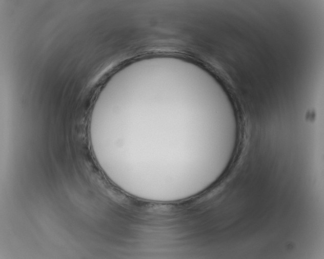 X0000114131211200910080954