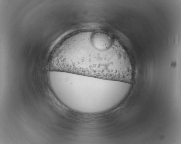 X0000114131212200910080954