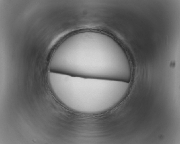 X0000114131214200910080954