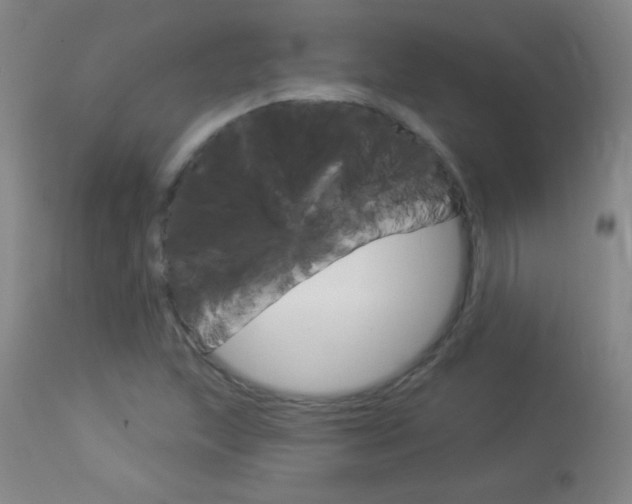X0000114131215200910080954