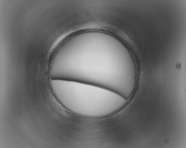 X0000114131216200910080954