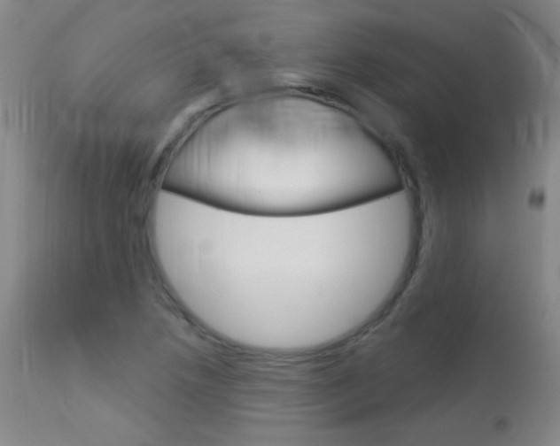 X0000114131218200910080954