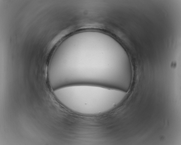 X0000114131221200910080954