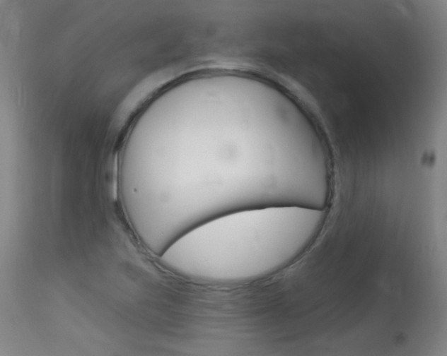 X0000114131223200910080954