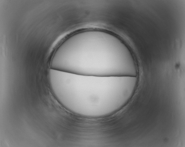 X0000114131224200910080954