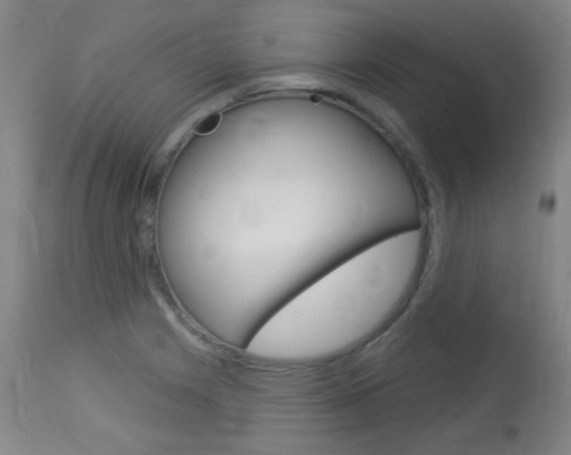 X0000114131225200910080954