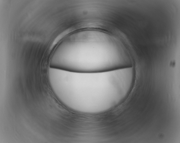 X0000114131226200910080954