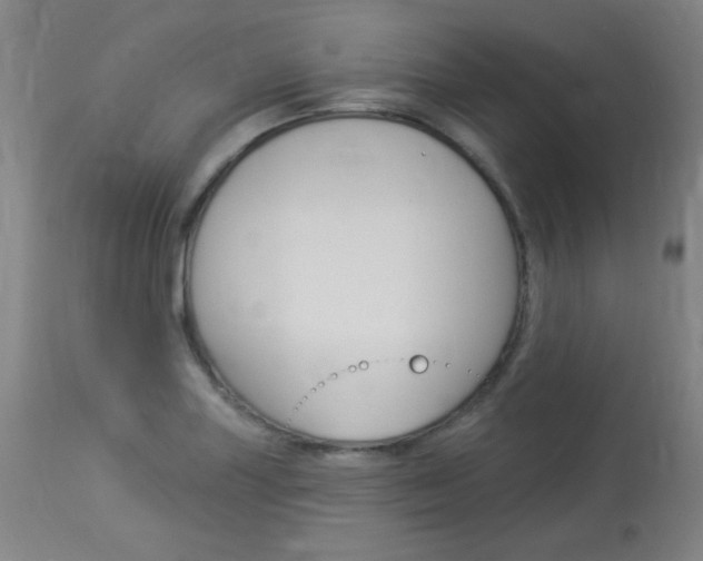 X0000114131227200910080954