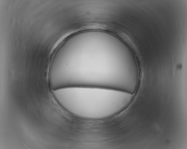 X0000114131228200910080954