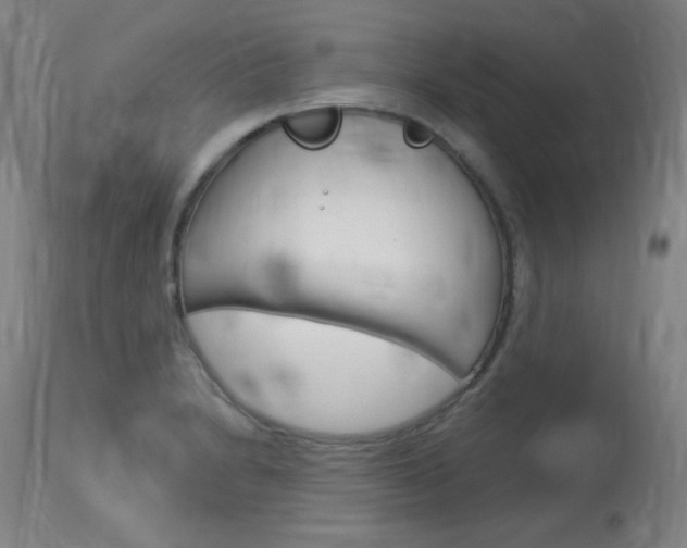 X0000114131230200910080954