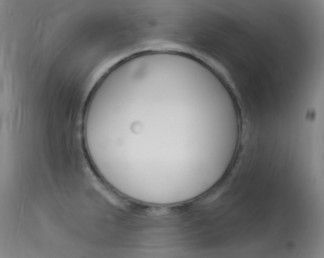 X0000114131231200910080954