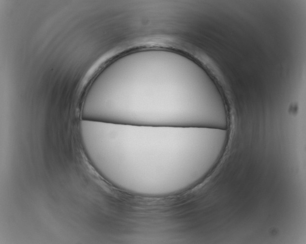 X0000114131232200910080954