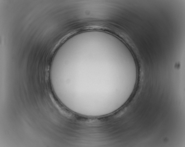 X0000114131233200910080954