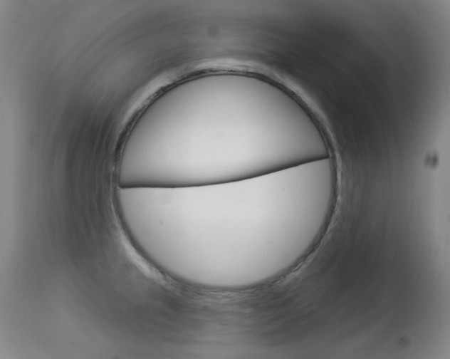 X0000114131237200910080954