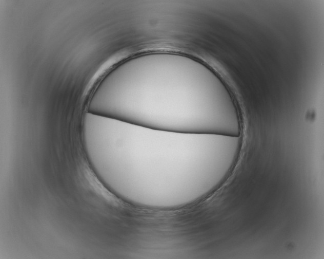 X0000114131238200910080954