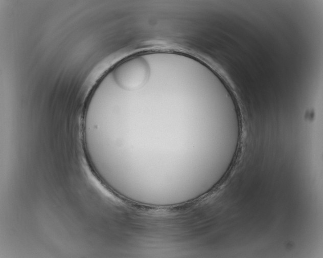 X0000114131239200910080954