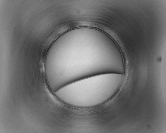 X0000114131241200910080954