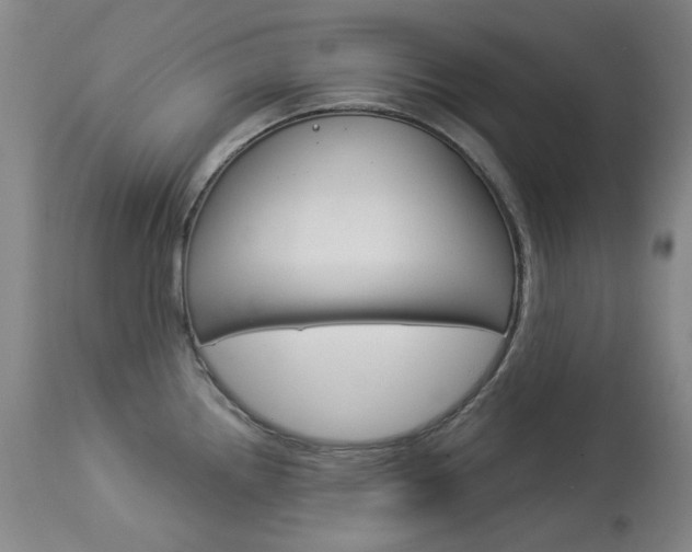 X0000114131242200910080954