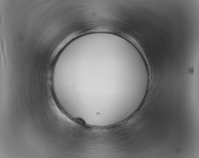 X0000114131243200910080954