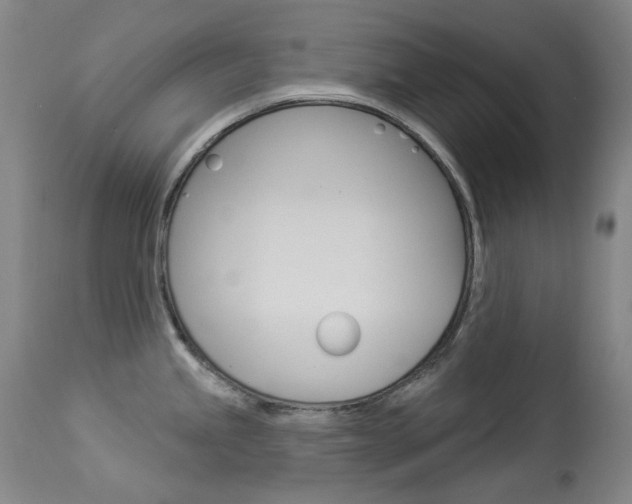 X0000114131245200910080954