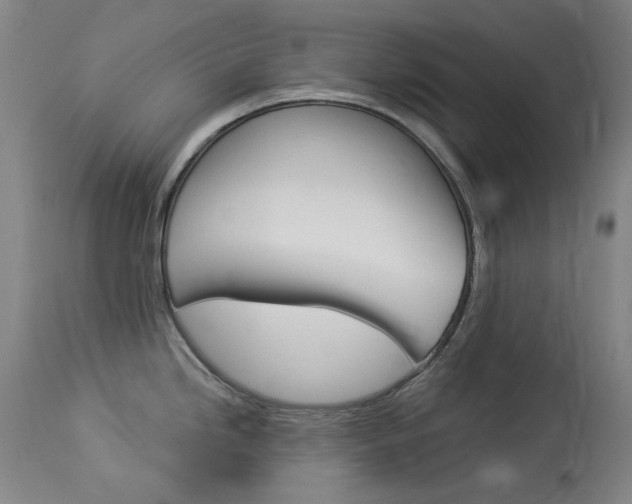 X0000114131246200910080954