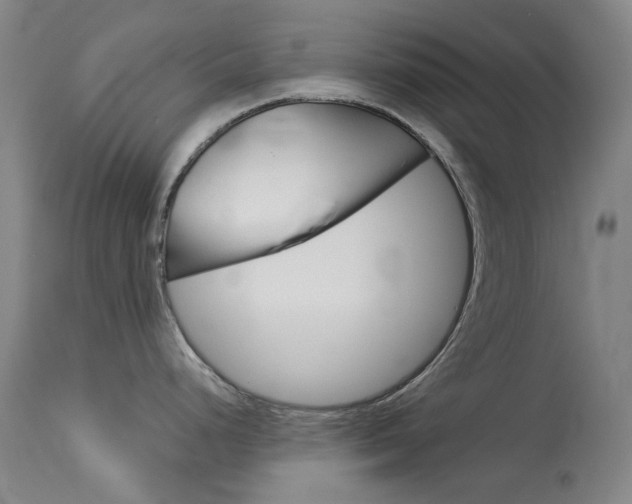 X0000114131248200910080954