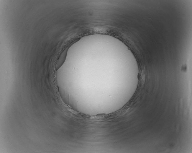 X0000114131249200910080954