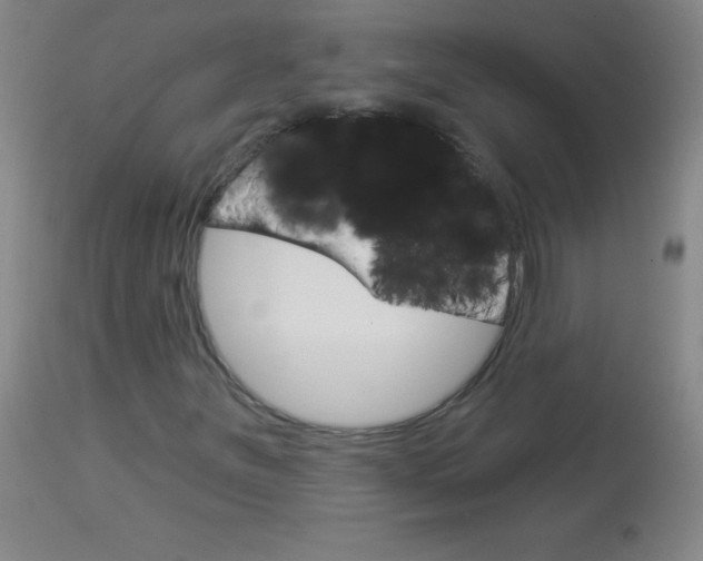 X0000114131251200910080954