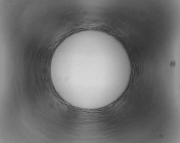 X0000114131252200910080954