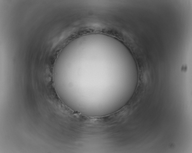 X0000114131253200910080953
