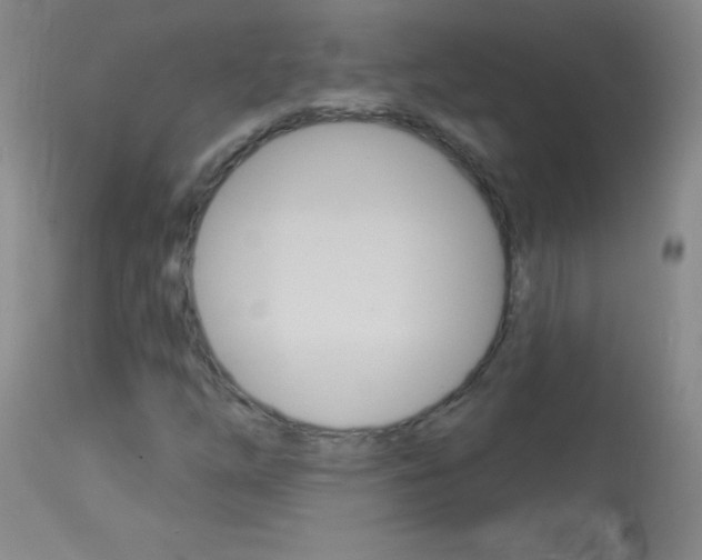 X0000114131254200910080953