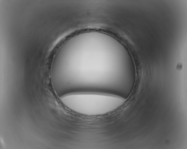 X0000114131256200910080953