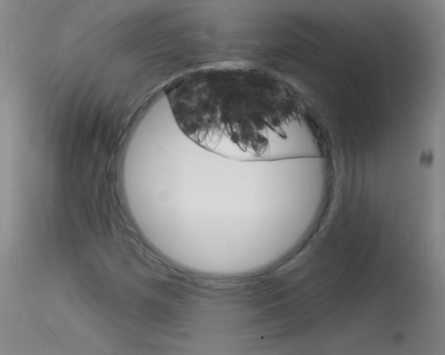 X0000114131257200910080953