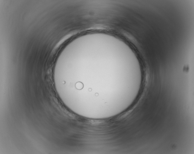X0000114131258200910080953