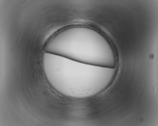 X0000114131259200910080953