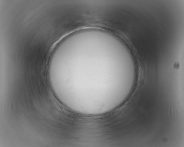 X0000114131260200910080953