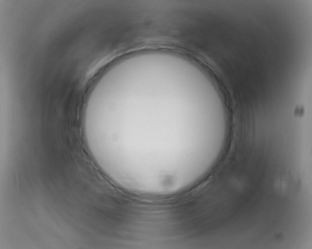 X0000114131261200910080953