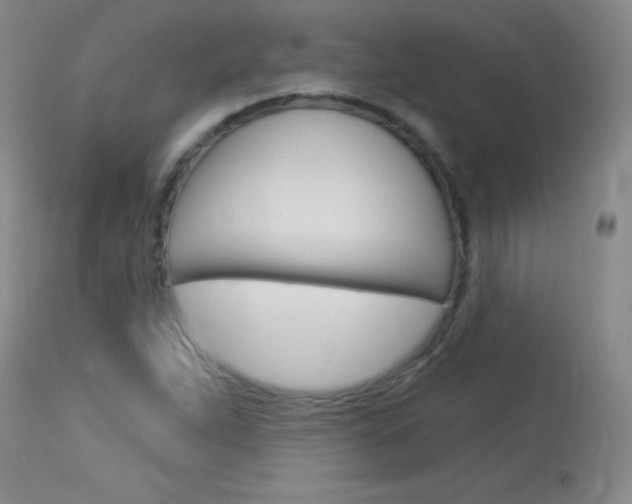 X0000114131263200910080953
