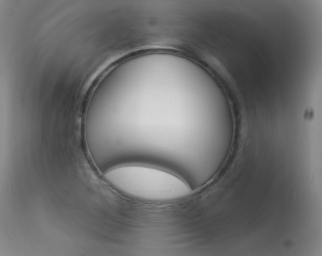 X0000114131268200910080953