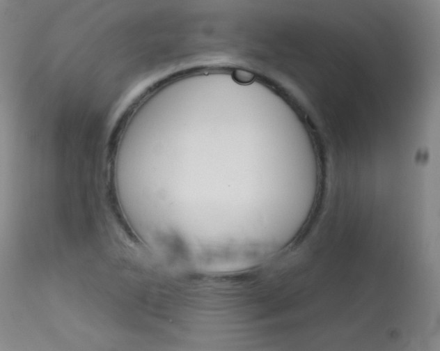 X0000114131270200910080953